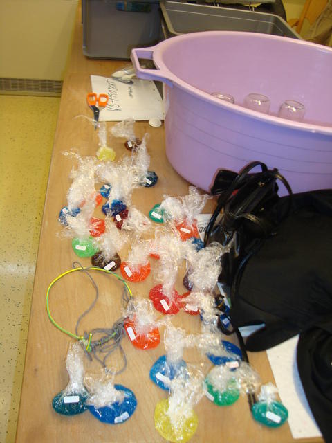 DSC00802.JPG
