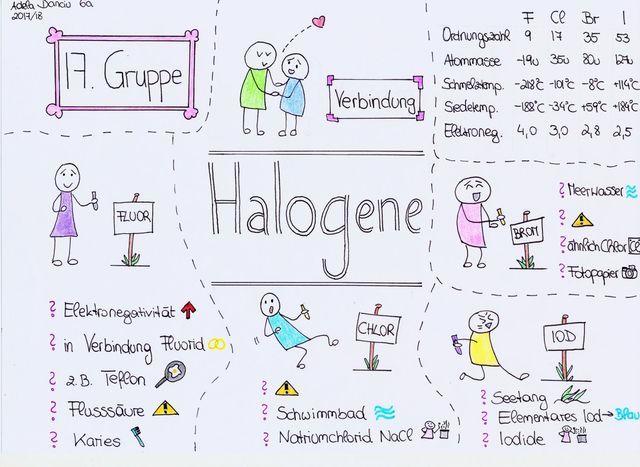 6A-Chemie-Sketchnote-Danciu-Halogene