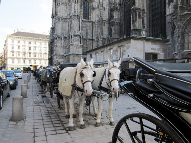 Wien 2010 046.jpg