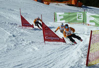Landesmeisterschaft Skiercross 2012