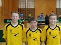 Tischtennis Regionalmeisterschaft Straden