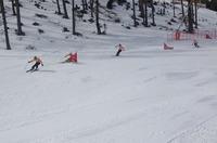 Skicross3