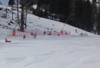 Skicross4